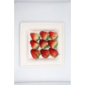 Biodegradable Sugarcane Bagasse Square Plate Wholesale for Cake/Fruit/Lunch/Dishes